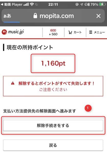 ポイントは失効する