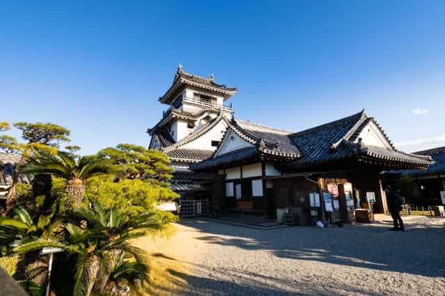 土佐沸騰