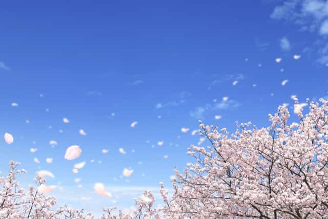 愛の蛍