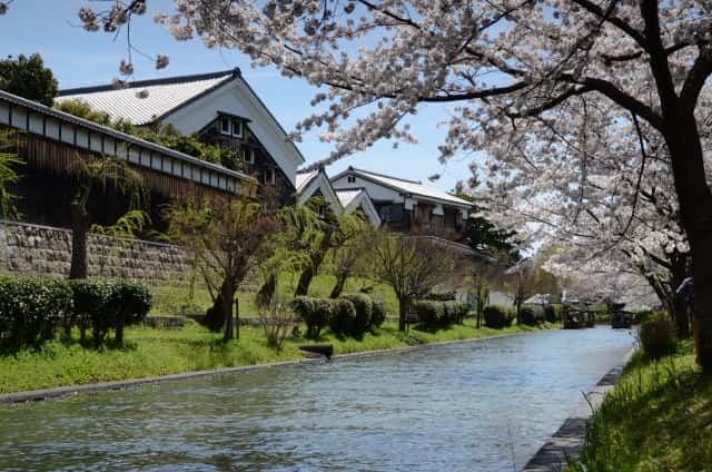 寺田屋の母